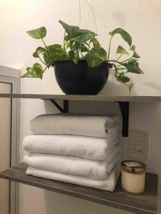 Comfortable And Private House 2 Bedrooms Wifi Parking Free Монтеррей Екстер'єр фото